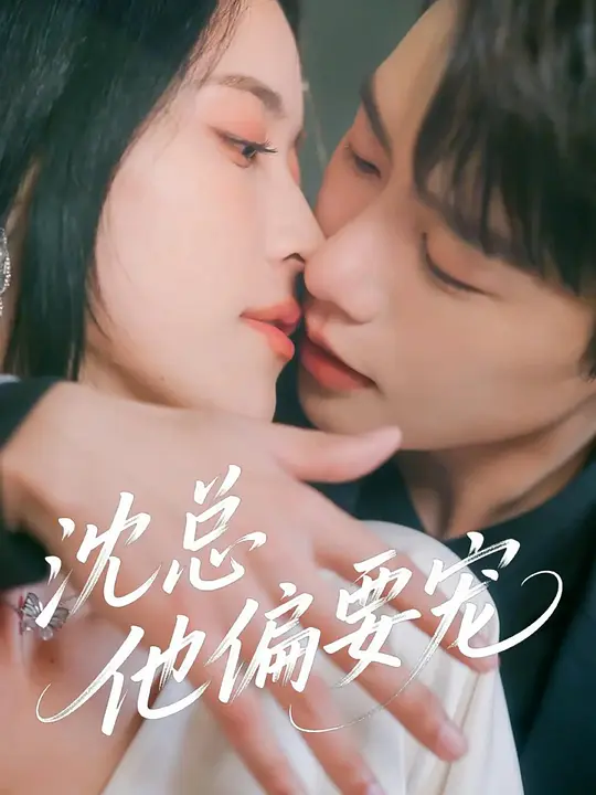 沈总他偏要宠(全集)