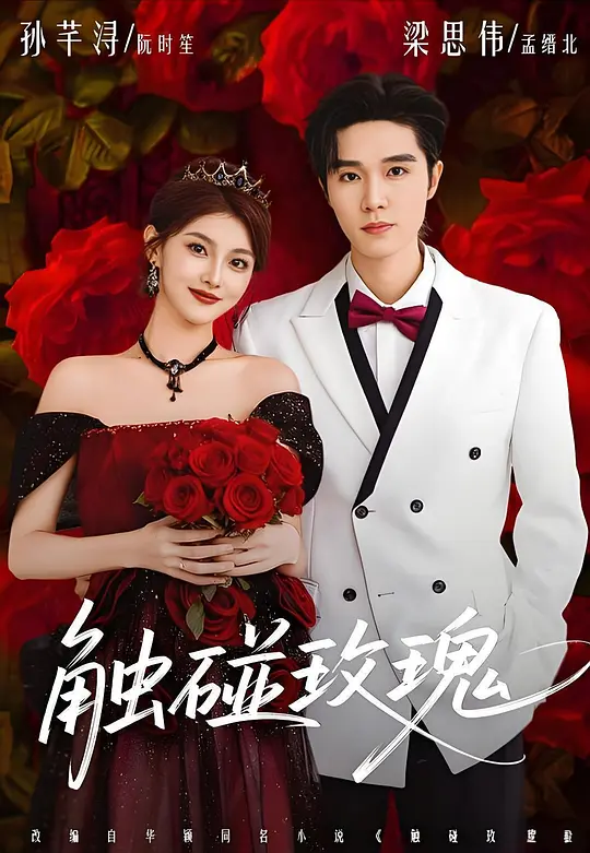 触碰玫瑰(全集)