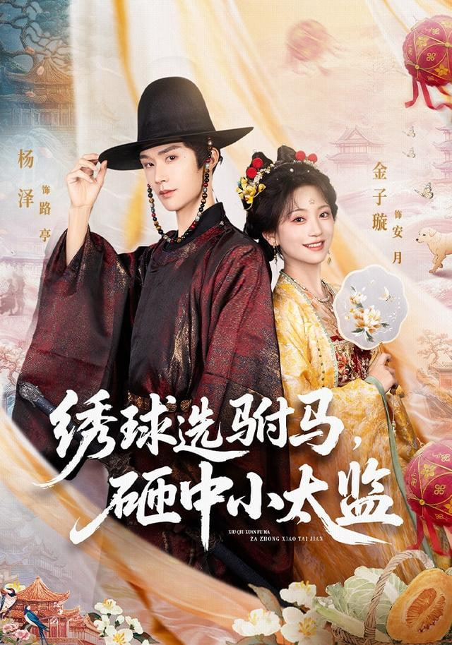 绣球选驸马，砸中小太监(全集)