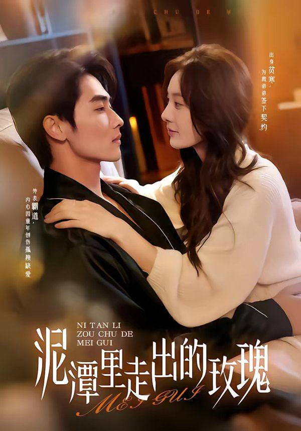 泥潭里走出的玫瑰(全集)