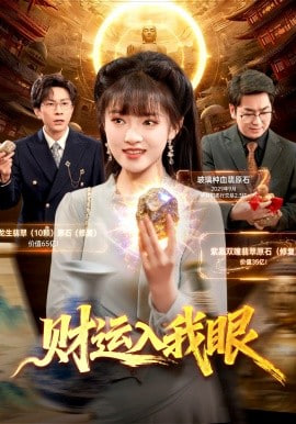 财运入我眼(全集)