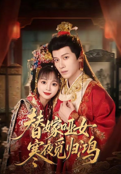 替嫁哑女寒夜觅归鸿(全集)