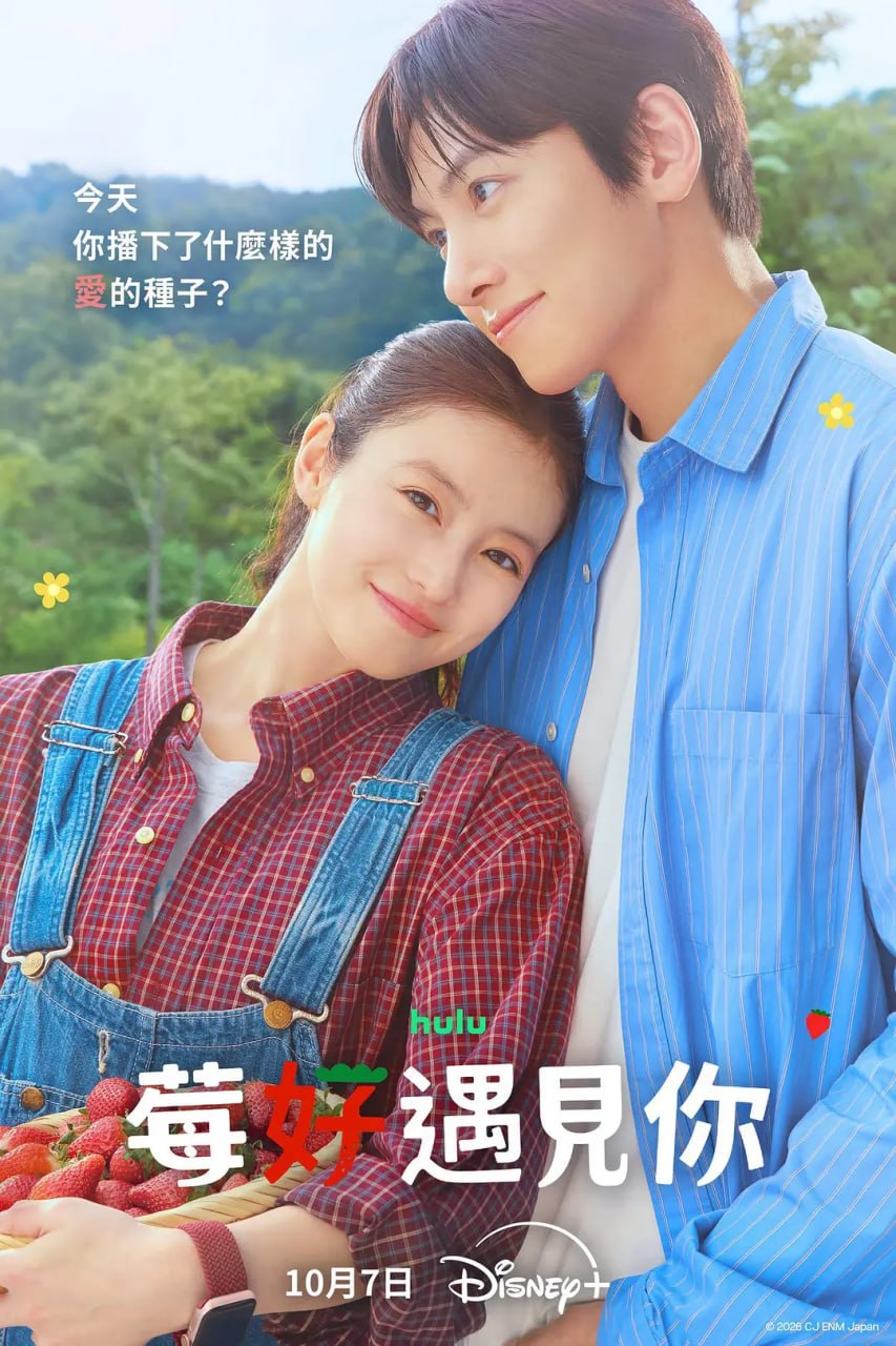 爱上草莓的季节